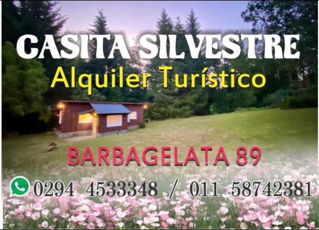 Casita Silvestre Y Casa Rosa Holiday home Villa La Angostura